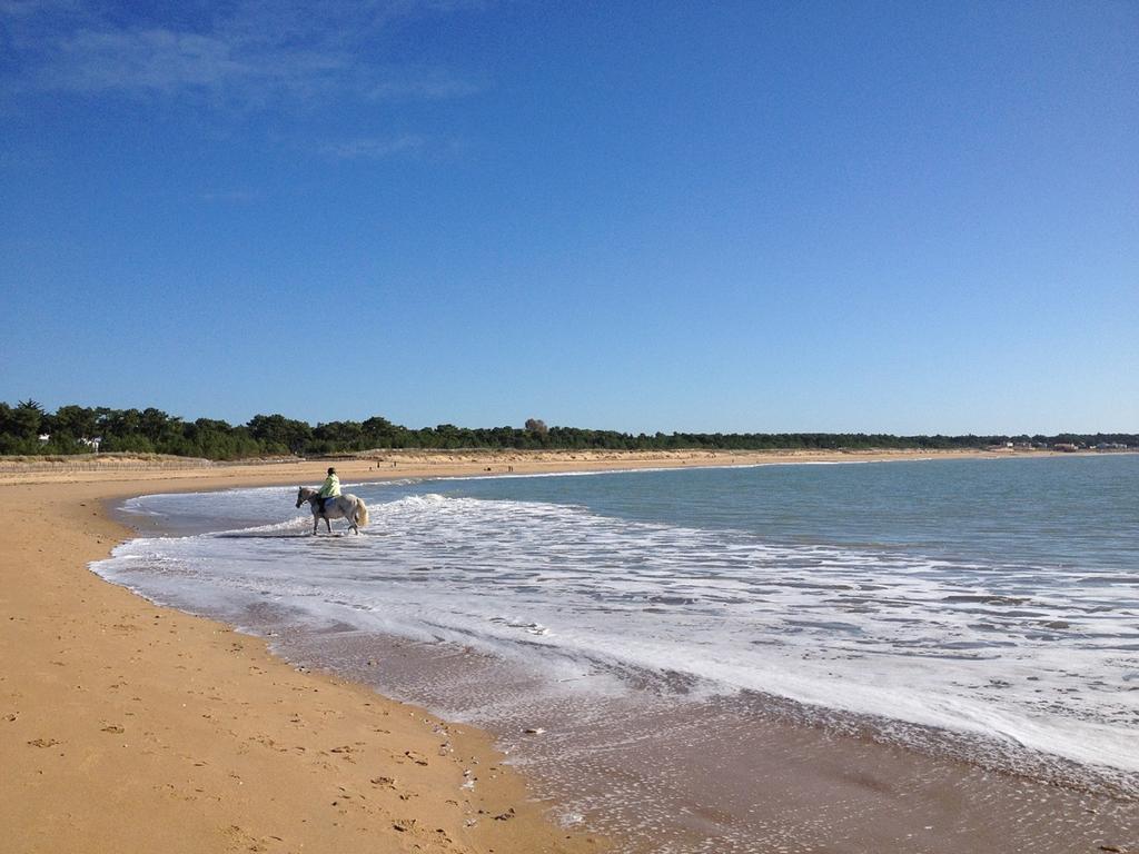 Appartement 43 M2 Front De Mer 3 Cles Vacances La Tranche-sur-Mer Zimmer foto